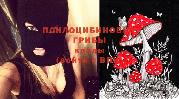 a pvp Арсеньев